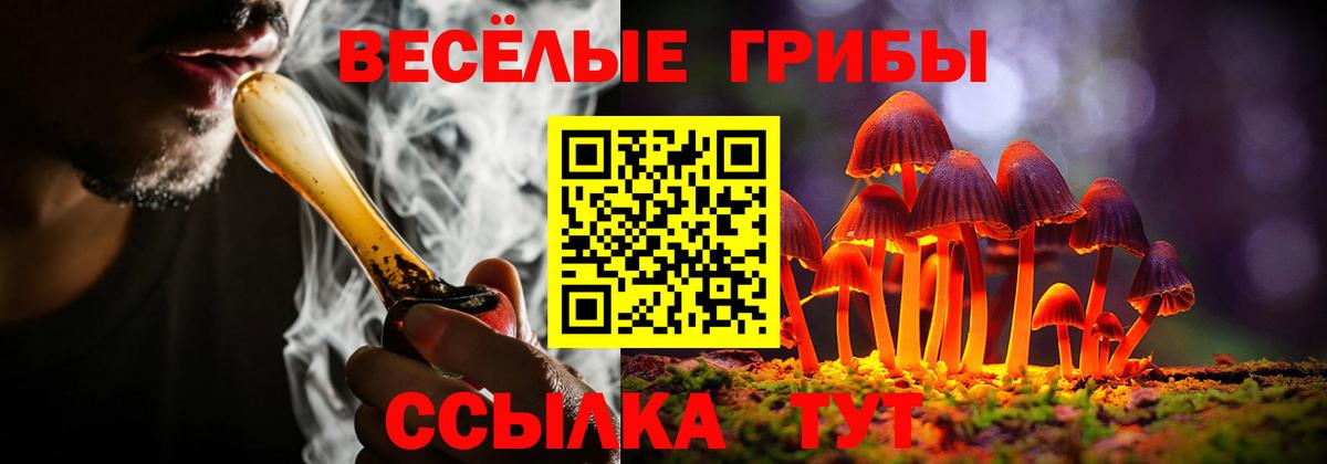 ГАШ  ГАШ  Вход с VPN  Конопля  МДМА  Павловский Посад  Мефедрон кристаллы 