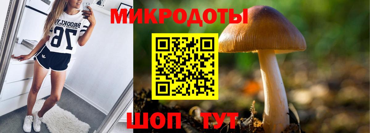 Павловский Посад  Псилоцибиновые грибы Psilocybine cubensis  где продают   Вход с VPN 